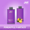 JNR Mega Box 25000 Puffs Disposable Vape (Boîte De 10)