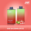 JNR Mega Box 25000 Puffs Disposable Vape (Boîte De 10)