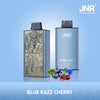 JNR Mega Box 25000 Puffs Disposable Vape (Boîte De 10)