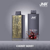 JNR Mega Box 25000 Puffs Disposable Vape (Boîte De 10)