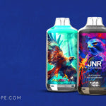 10 JNR Falcon X Plus 28000 Caractéristiques qui le mènent dans la collection