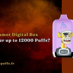 Comment Fumot Digital Box 12000 peut-il livrer jusqu'à 12000 Puffs ?