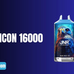 Guide étape par étape pour Utiliser Efficacement le JNR Falcon 16000